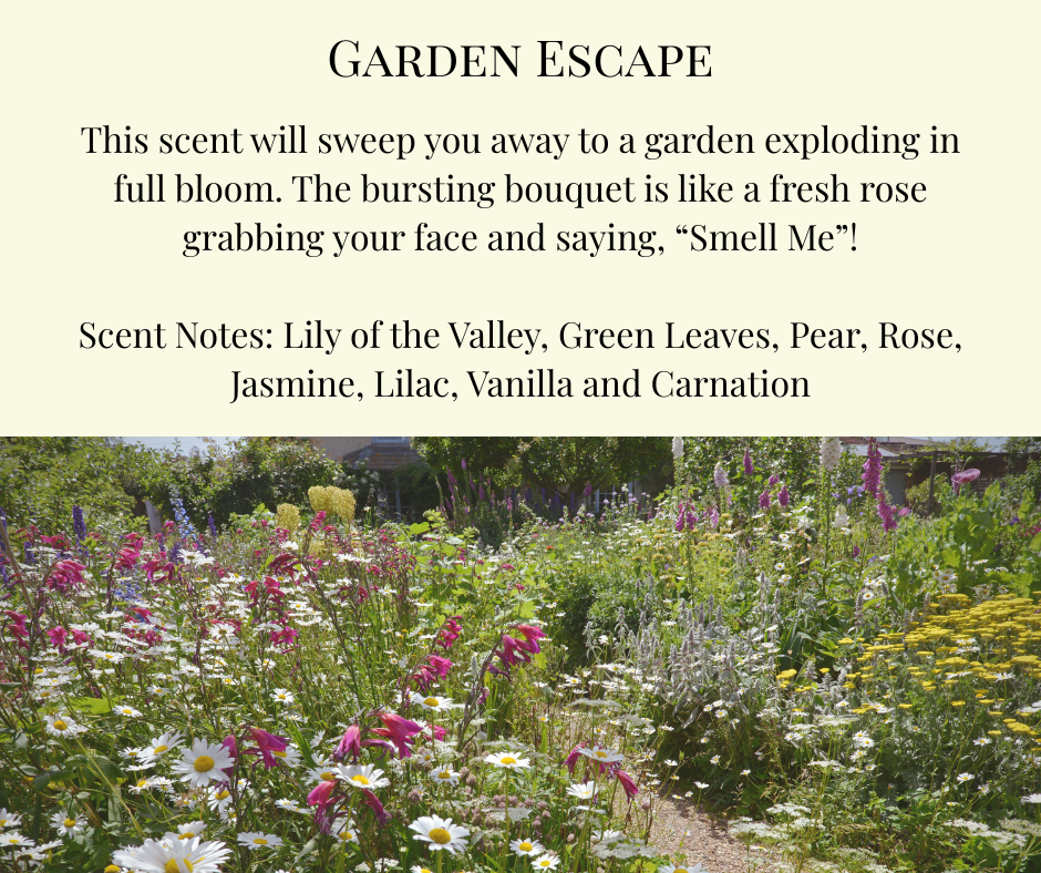 Car Diffuser - Garden Escape