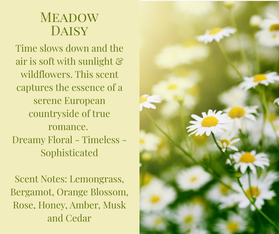 Car Diffuser - Meadow Daisy