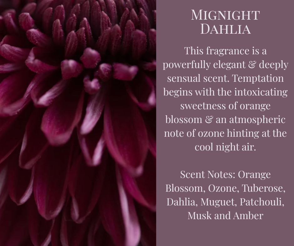 Car Diffuser - Midnight Dahlia