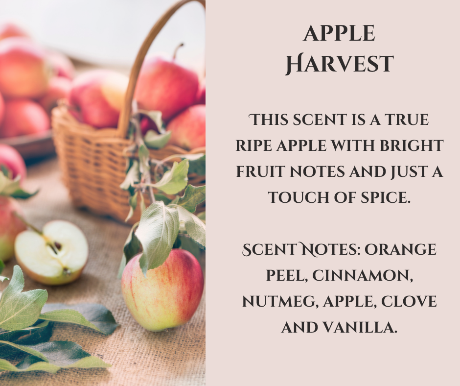 Car Diffuser - Apple Harvest