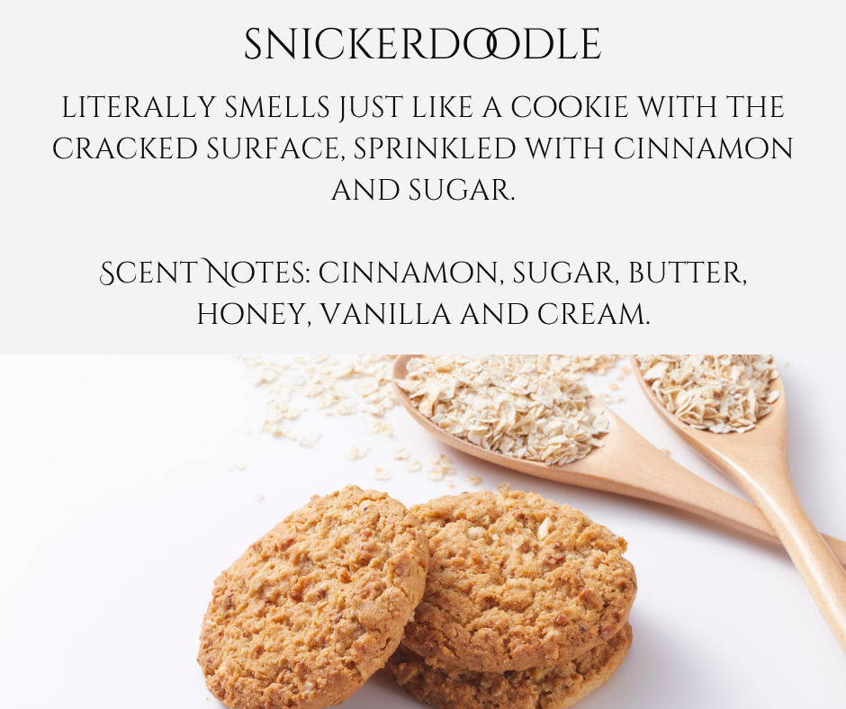 Car Diffuser - Snickerdoodle