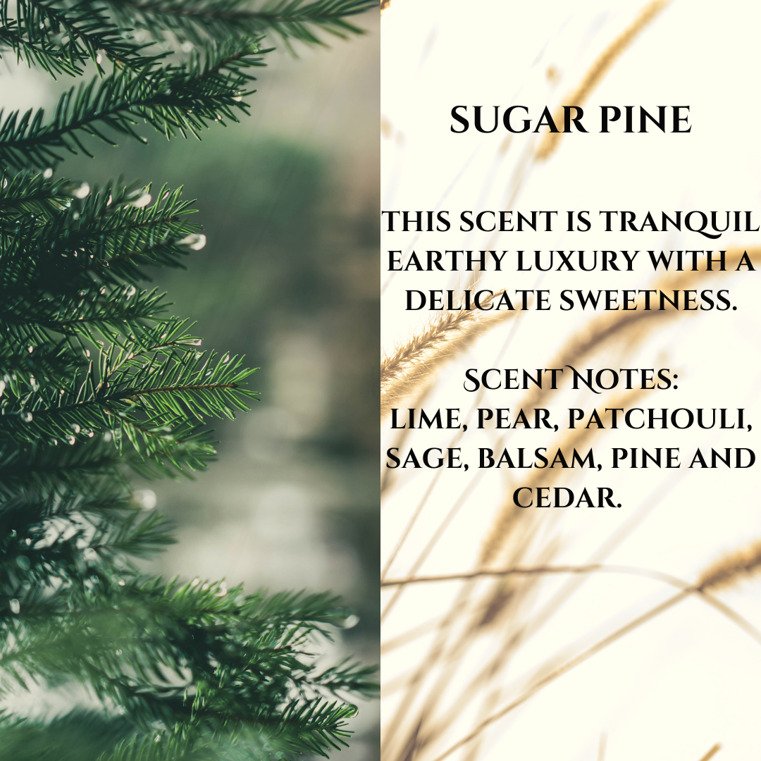 Car Diffuser - Sugar Pine